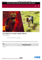 Stray modder puts CJ in the game, is instantly terrifying – GameByte